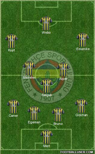Fenerbahçe SK Formation 2013