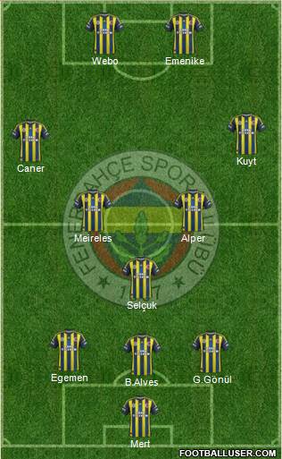 Fenerbahçe SK Formation 2013