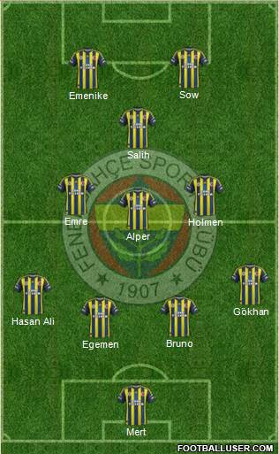 Fenerbahçe SK Formation 2013