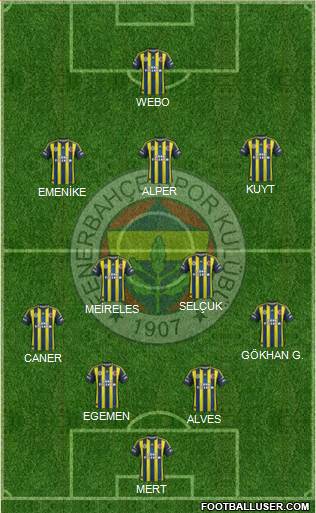 Fenerbahçe SK Formation 2013