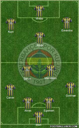 Fenerbahçe SK Formation 2013