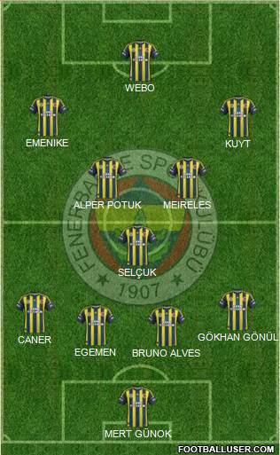 Fenerbahçe SK Formation 2013