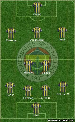 Fenerbahçe SK Formation 2013