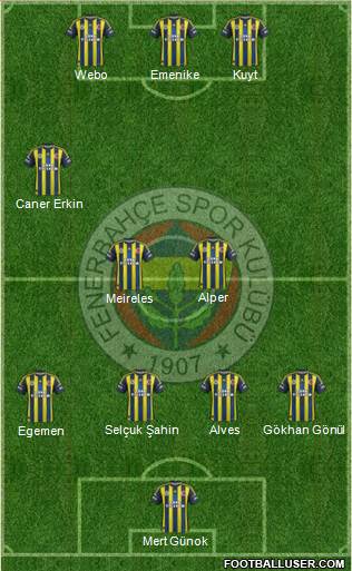 Fenerbahçe SK Formation 2013