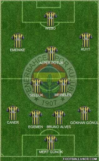 Fenerbahçe SK Formation 2013