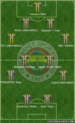 Fenerbahçe SK Formation 2013