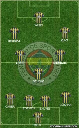 Fenerbahçe SK Formation 2013