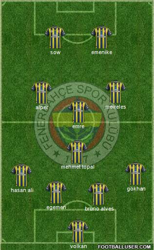 Fenerbahçe SK Formation 2013