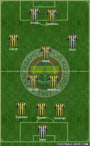 Fenerbahçe SK Formation 2013