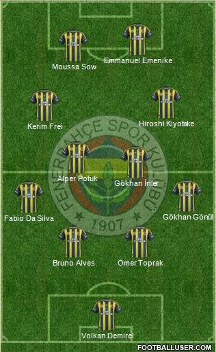 Fenerbahçe SK Formation 2013