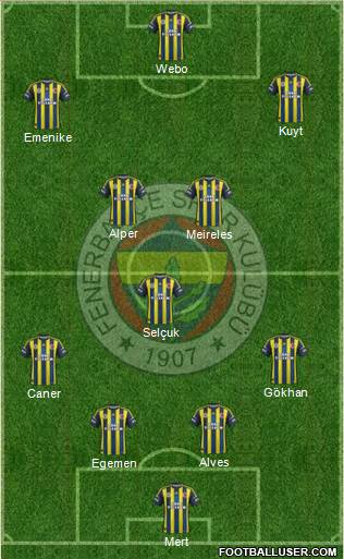 Fenerbahçe SK Formation 2013