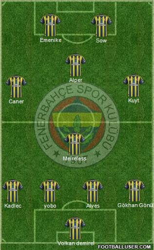 Fenerbahçe SK Formation 2013