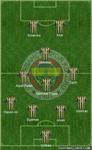 Fenerbahçe SK Formation 2013
