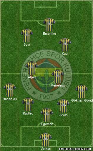 Fenerbahçe SK Formation 2013