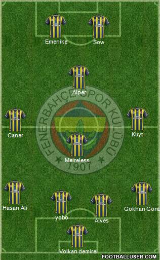 Fenerbahçe SK Formation 2013