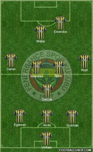 Fenerbahçe SK Formation 2013