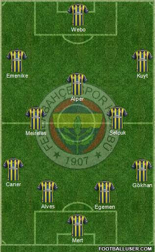 Fenerbahçe SK Formation 2013