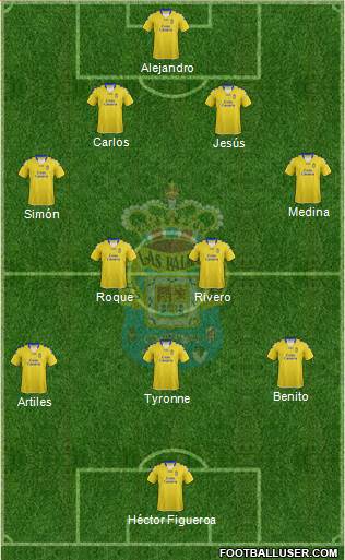 U.D. Las Palmas S.A.D. Formation 2013