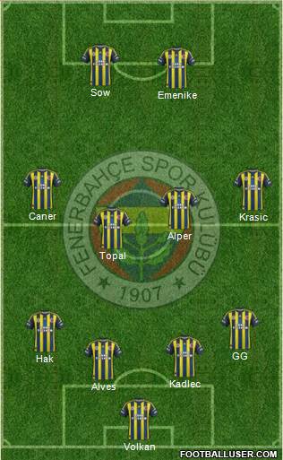 Fenerbahçe SK Formation 2013