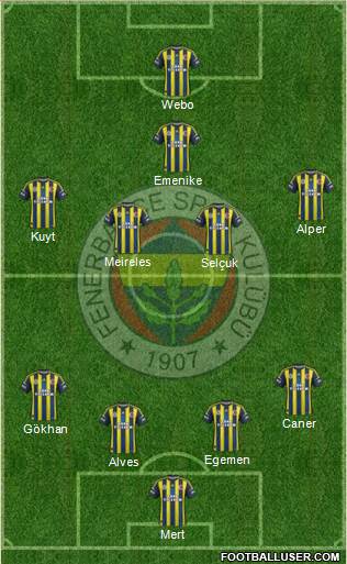 Fenerbahçe SK Formation 2013