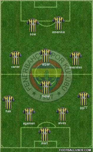Fenerbahçe SK Formation 2013