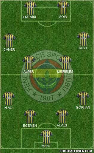 Fenerbahçe SK Formation 2013
