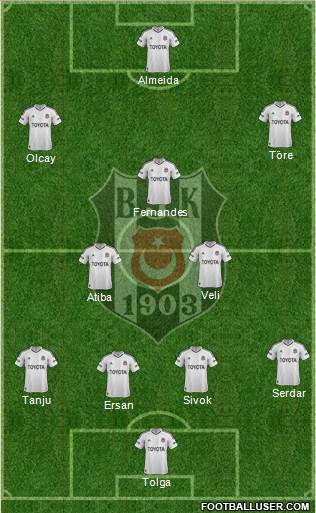 Besiktas JK Formation 2013