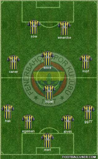 Fenerbahçe SK Formation 2013