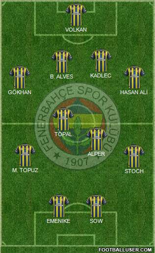 Fenerbahçe SK Formation 2013