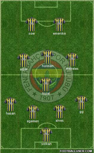 Fenerbahçe SK Formation 2013