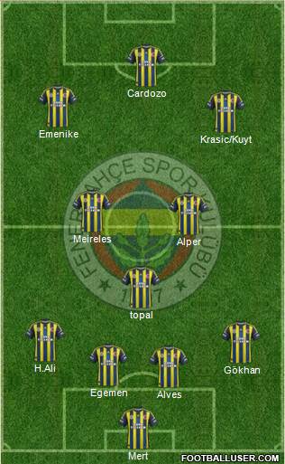 Fenerbahçe SK Formation 2013