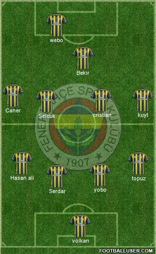 Fenerbahçe SK Formation 2013