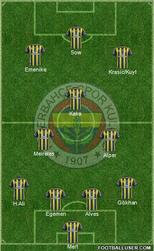 Fenerbahçe SK Formation 2013