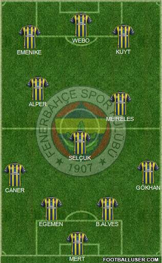 Fenerbahçe SK Formation 2013