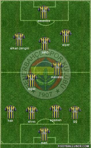 Fenerbahçe SK Formation 2013