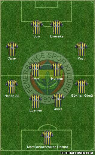 Fenerbahçe SK Formation 2013