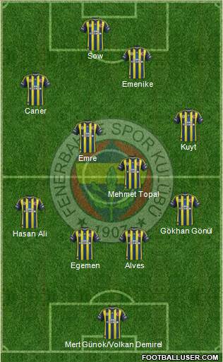 Fenerbahçe SK Formation 2013
