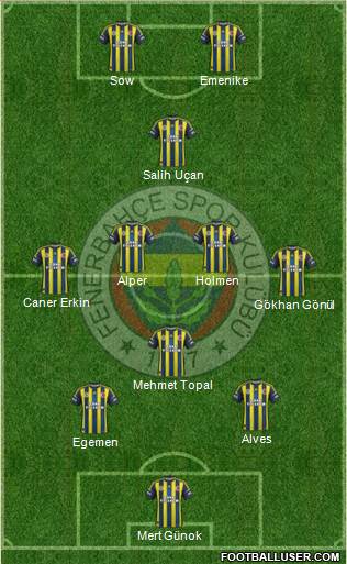 Fenerbahçe SK Formation 2013