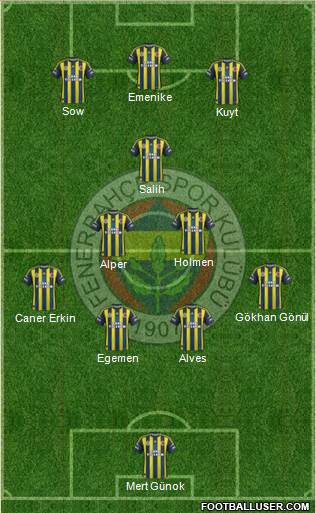 Fenerbahçe SK Formation 2013