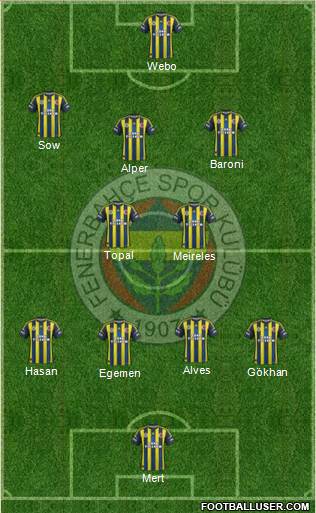 Fenerbahçe SK Formation 2013