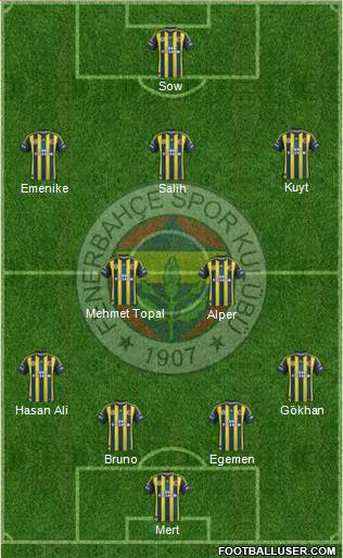 Fenerbahçe SK Formation 2013