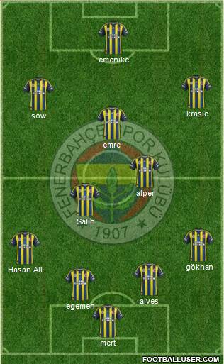 Fenerbahçe SK Formation 2013