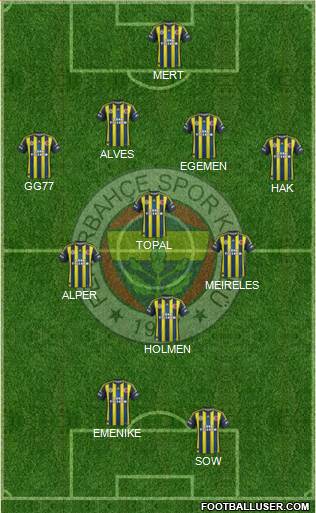 Fenerbahçe SK Formation 2013
