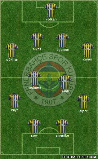 Fenerbahçe SK Formation 2013