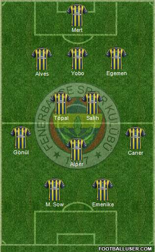 Fenerbahçe SK Formation 2013