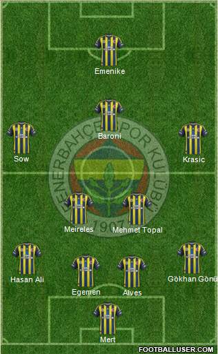 Fenerbahçe SK Formation 2013