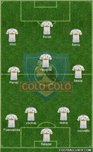 CSD Colo Colo Formation 2013