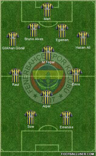 Fenerbahçe SK Formation 2013