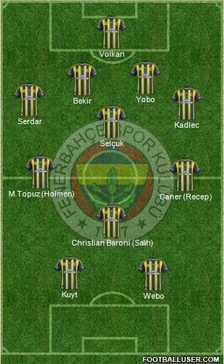 Fenerbahçe SK Formation 2013