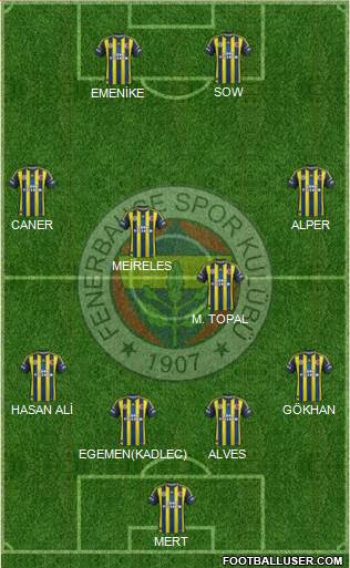 Fenerbahçe SK Formation 2013